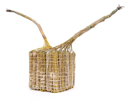 Hybride - seit 2003 - Faltengewebe, Schläuche, Schafsaitlinge, Kabeladern, technische Garne, Naturfasern, nachträglich bearbeitet - verschiedene Maße